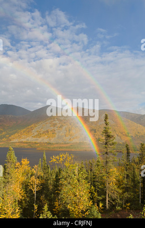 Ein Regenbogen-Bögen über Herbstfarben und Äsche See entlang des James Dalton Highway in die südlichen Brooks Range Mountains Stockfoto