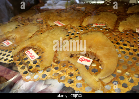 Haifisch-flossen-Display in einem chinesischen Restaurant in Bangkok Stockfoto