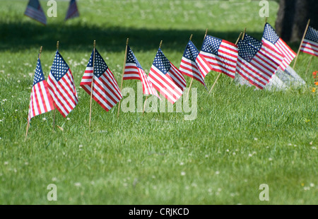 kleine amerikanische Flaggen auf einer Wiese, USA Stockfoto