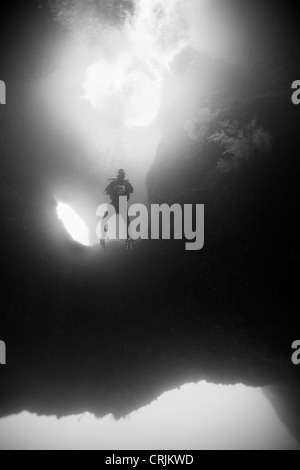 Scuba Diver Abstieg in die blauen Löcher Tauchplatz vor den Inseln von Palau in Mikronesien. Stockfoto