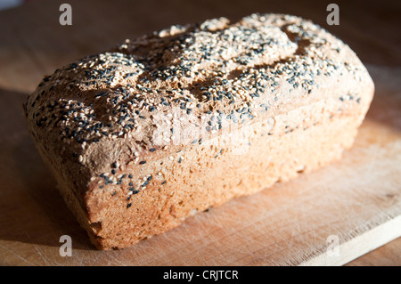 Frisch gebackene Brotlaib gesunde Brown auf einem hölzernen Brot-Brett im Sonnenlicht. Stockfoto