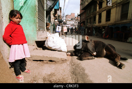 Mädchen und heilige Kuh in Kathmandu, Nepal Stockfoto