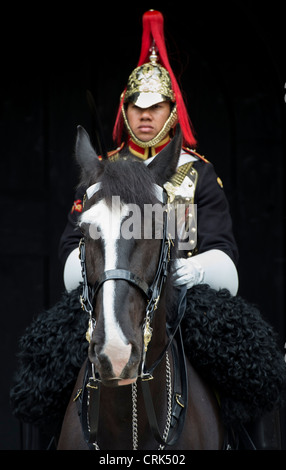 Household Cavalry/Blau und Royals auf dem Pferd vor einem dunklen Hintergrund. London. UK. Selektiver Fokus Stockfoto