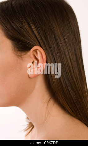 Seitenansicht der Kopf einer Frau. Stockfoto