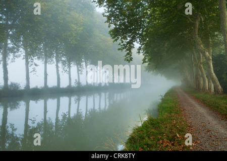 der Canal du Midi nr Castelnaudary, Languedoc-Roussillon, Frankreich Stockfoto