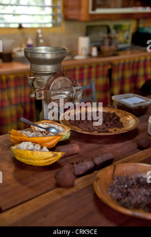 Cabosse Kakao karibisches Essen Französisch Guadeloupe Heimat der Schokolade Stockfoto