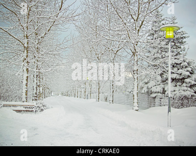 Bäume und Straße in Schneelandschaft Stockfoto