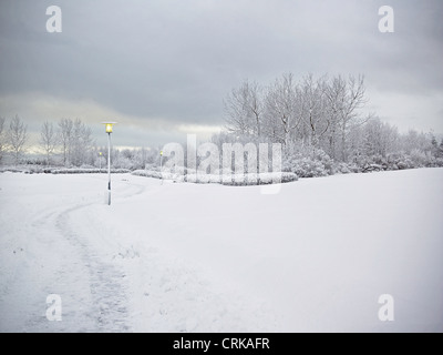 Bäume und unbefestigten Weg in verschneiter Landschaft Stockfoto