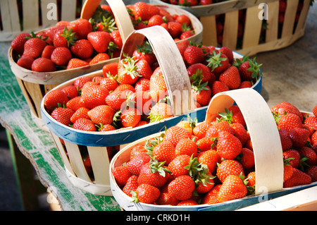 Erdbeeren in Körben am französischen Markt. Stockfoto
