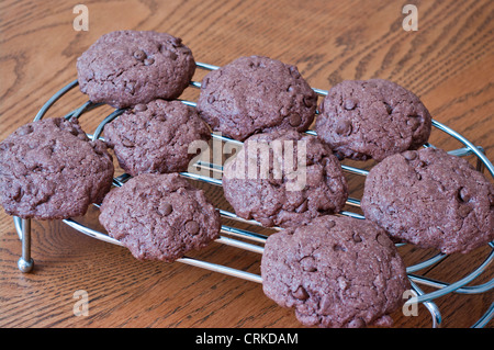 Hausgemachte Kekse Chocolate Chip Cookies Stockfoto