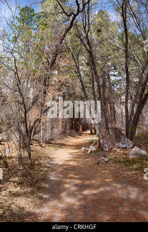 Trail zu den Alkoven-Haus im Bandelier National Monument, New Mexico Stockfoto