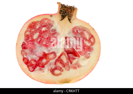 Frische reife Granatapfel, die im halb - Studio gedreht mit einem weißen Hintergrund in Scheiben geschnitten Stockfoto