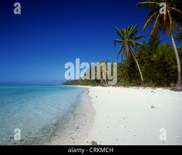 Tetiaroa, Tuamotus, Französisch-Polynesien Stockfoto