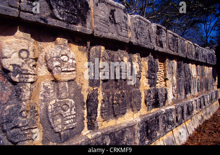 Tzompantli, Schädel-Plattform, Maya und Toltek archäologische Ort Chichen Itza. Mexiko Stockfoto