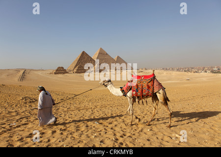 Kamelreiten in komplexen Pyramide in Gizeh, Ägypten Stockfoto