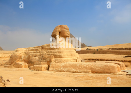 Die große Sphinx von Gizeh, Ägypten Stockfoto