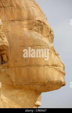 Die große Sphinx von Gizeh, Ägypten Stockfoto