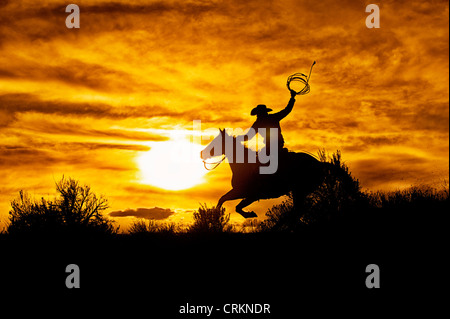 Cowboy Reiten bei Sonnenuntergang, Sombreo, Colorado Stockfoto