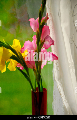 Schöne Blumen auf der Fensterbank für Muttertag und ein Spitzevorhang Blick auf den Hof, Vermont USA Stockfoto