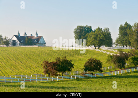 Kentucky, Lexington, Manchester Farm, Reinrassiges Pferd Zucht, Scheune. Stockfoto