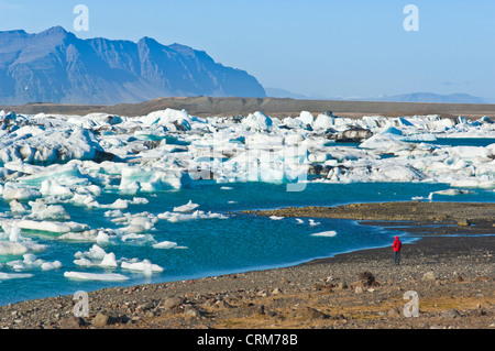 touristischen Besucher entlang der Ufer der Jökulsárlón Eisberg Lagune Island EU Europa Stockfoto