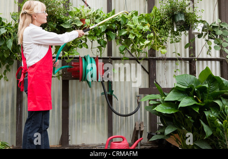 Seitenansicht des senior weiblichen Gärtner Sprühen von Pestiziden auf Pflanzen im Garten-center Stockfoto