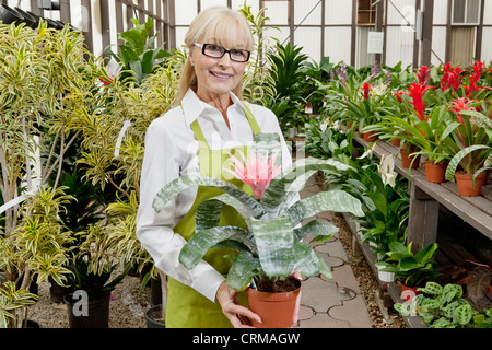 Porträt von einem senior Gärtner halten Topfpflanze im Garten-center Stockfoto