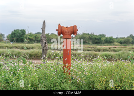 Hydrant Stockfoto