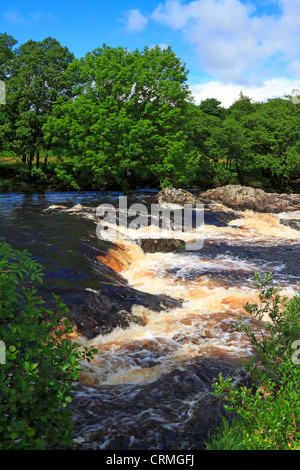 Der River Tees am Low Force Wasserfall in der Nähe von Middleton in Teesdale, County Durham, England, UK. Stockfoto