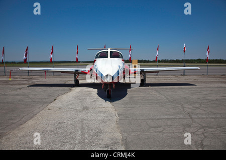 Canadian Forces Snowbirds fliegen Team; Snowbirds 431 Geschwader; Canadian Forces Air Force Demo Team; Stockfoto