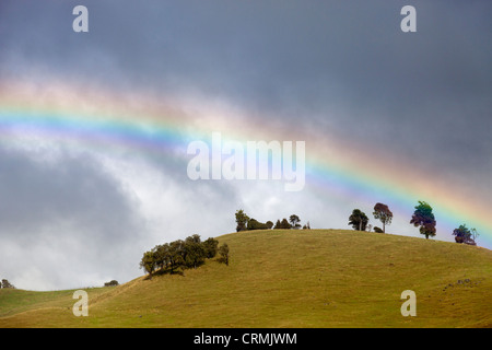 Regenbogen in Whangarei Northland Neuseeland 5 Stockfoto