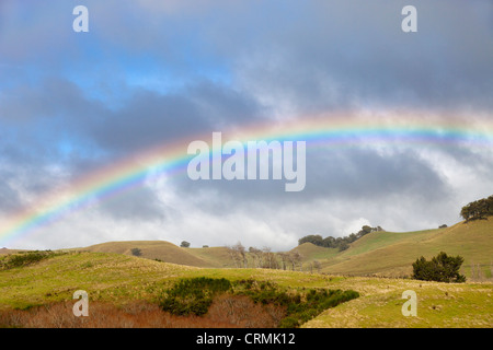 Regenbogen in Whangarei Northland Neuseeland 7 Stockfoto