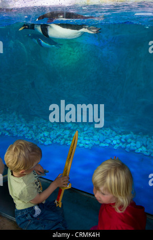 Kinder betrachten Unterwasser Pinguine am Polarland, Legoland, Billund, Dänemark Stockfoto