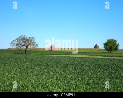 Taubenhäuser, Limagne, Region Maringues, Auvergne, Frankreich, Europa Stockfoto