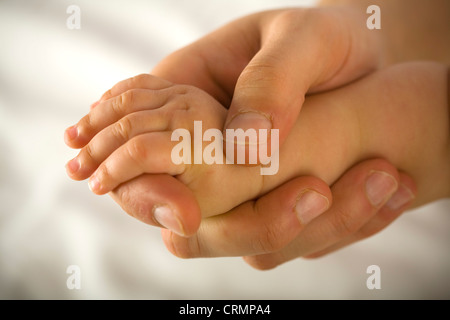 Nahaufnahme der Hand eines Erwachsenen ein junges Baby Hand hält. Stockfoto