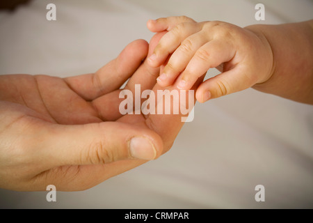 Hand ein Erwachsenen hält sich an Hand eines Babys. Stockfoto