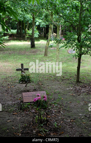 Greenwood Forest Grabstätte Friedhof grüne alternative Beerdigung umweltfreundliche Denkmal, Suffolk, England, UK Stockfoto