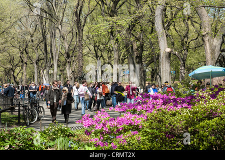 New York, NY – warme 13. April 2012 – ungewöhnlich Wetter machte Central Park ein idealer Ort zum genießen und entspannen. Stockfoto