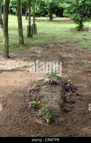 Greenwood Forest Grabstätte Friedhof grüne alternative Beerdigung umweltfreundliche Denkmal, Suffolk, England, UK Stockfoto