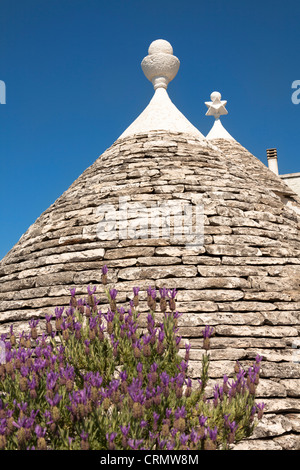 Trockenen Stein Kegeldach ein Trulli-Haus, Rione Monti, Alberobello, Provinz Bari in Apulien, Italien Stockfoto