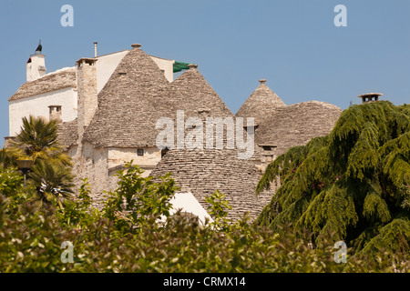 Trulli Häuser, Rione Monti, Alberobello, Provinz Bari in Apulien, Italien Stockfoto