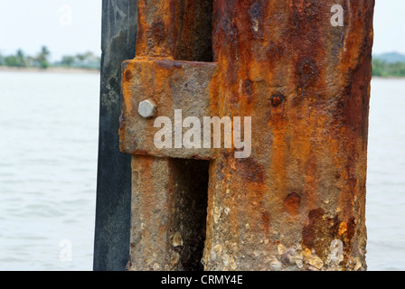 Barnacle Haftung auf Stahlmasten mit Rost. Stockfoto