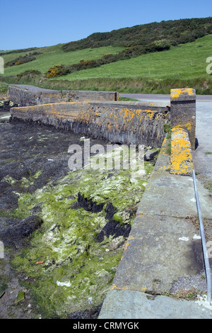 Coutmacsherry Amtsgericht Irland Irland Südeuropa Stockfoto