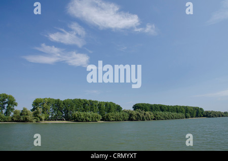 Rumänien, Dobrudgea Region, Tulcea, Donaudelta. Sulina Kanal Silber Weiden gesäumt. UNESCO-Biosphärenreservat. Stockfoto