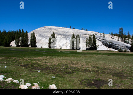 Blick auf Lembert Dome in der Nähe von Tuolumne Meadows, Yosemite-Nationalpark, Kalifornien, USA im Juli Stockfoto