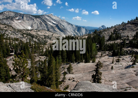 Ein Blick ins Yosemite Valley mit Half Dome in der Ferne von Olmsted Point, Yosemite-Nationalpark, Kalifornien, USA im Juli Stockfoto