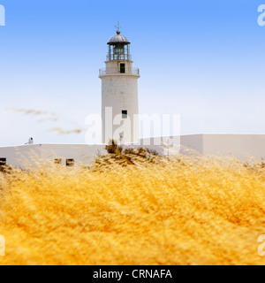 Leuchtturm La Mola in Formentera mit goldenen getrocknete Wiese Stockfoto