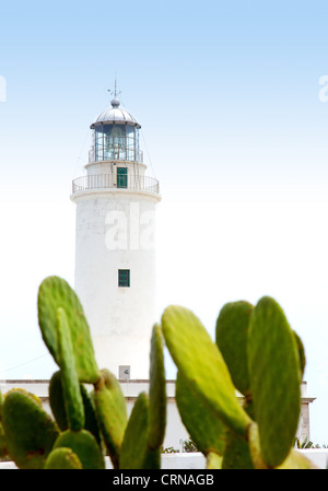 Leuchtturm La Mola in Formentera mit Nopal Kaktus im Vordergrund Stockfoto