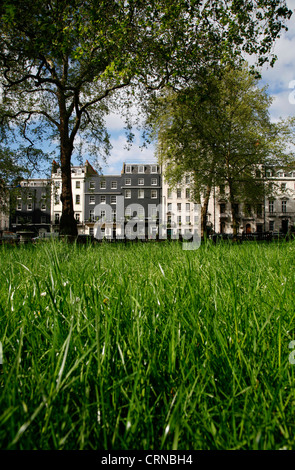 Wurm Blick auf Berkeley Square, Mayfair, London, UK Stockfoto