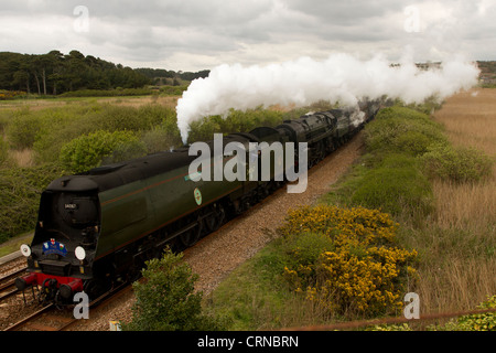 Luftschlacht um England Klasse Nr. 34067 Tangmere mit Marazion Marsh RSPB im Hintergrund. Stockfoto